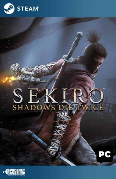 Sekiro: Shadows Die Twice Steam [Account]